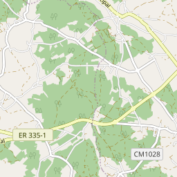 Mapa base