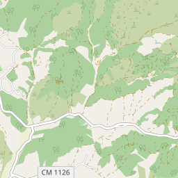 Mapa base