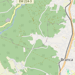 Mapa base