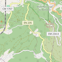 Mapa base
