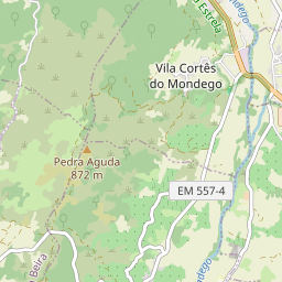 Mapa base