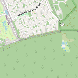 Mapa base