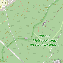 Mapa base