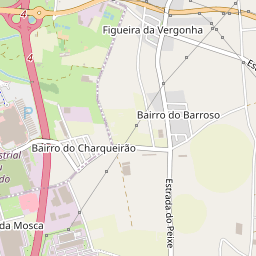 Mapa base