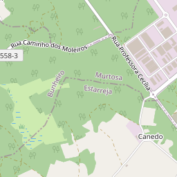 Mapa base