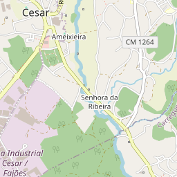Mapa base