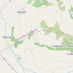 Mapa base