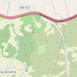 Mapa base