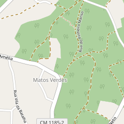 Mapa base