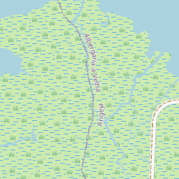 Mapa base