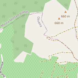 Mapa base
