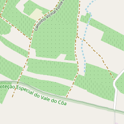 Mapa base