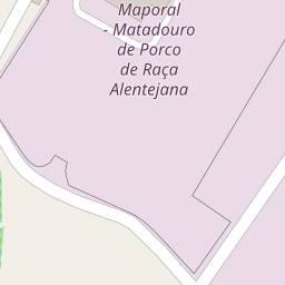 Mapa base